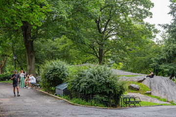 Cyclists, joggers, families and pets circulating on a summer morning in Central Park, New York....