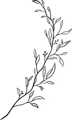 Line art foliage leaf branch illustration.