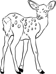 Little cute deer fawn line art.
