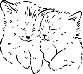 Cat line art minimalistic illustration.