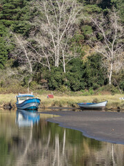 fising boats in southern chilean wetlands near to the beach