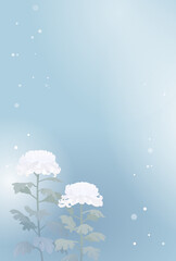 雪が降る背景と菊の花の寒中見舞い・喪中イラスト