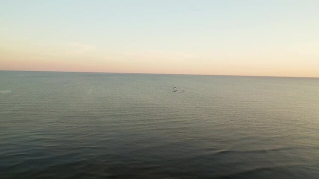 Birds Flying Over Deer Island, Mississippi in Gulf of Mexico