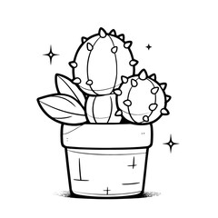 CACTI PLANT 