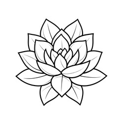 Fototapeta premium SUCCULENT PLANT 