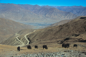 Arid mountains