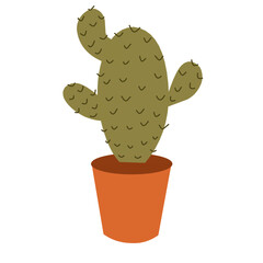 Cute Cactus Houseplants