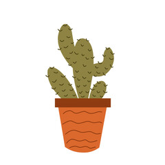 Cute Cactus Houseplants