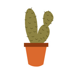 Cute Cactus Houseplants