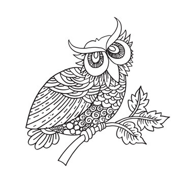 Owl vector hand draw illustration .Olw bird for symbol. Ethnic retro illustration of owl . Owl doodle vector 