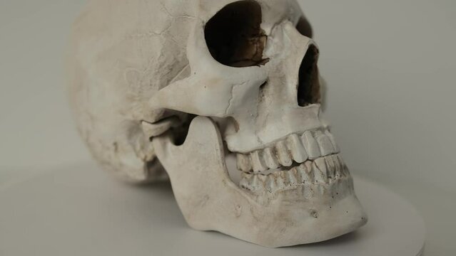 Old human skull in white color rotates on light surface, Human anatomy. Skull from different angles isolated studio background. 