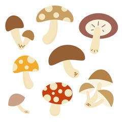 色々なキノコのイラストセット