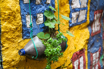 Recycled plastic bottle with a hanging plant amidst colorful murals in Viña del Mar.
