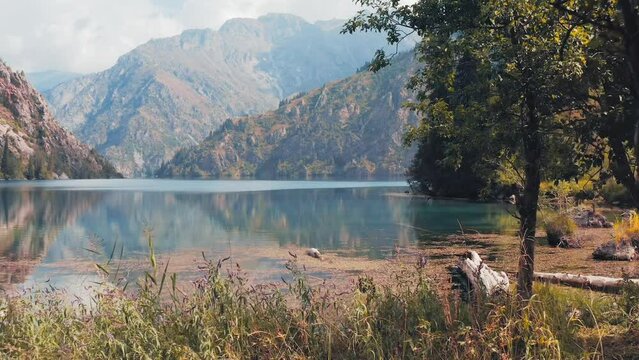 Tracking shot, turquoise water in a mountain forest crystal lake Sary-Chelek surrounded pine trees and picturesque mountains, Kyrgyzstan, Central Asia. Hiking and highlands travel.