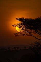 Africa's golden hour sunset