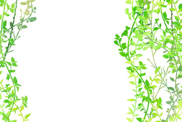 Obraz premium 背景素材_水彩_植物