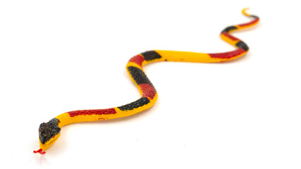 Rubber snake, toy isolated on white background