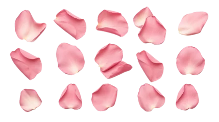 Foto op Aluminium elegant collection of soft pink flower petals isolated on a transparent background, generative ai  © Perfect PNG