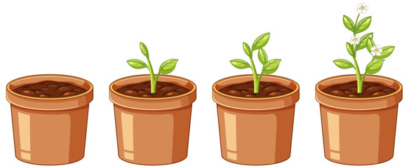 Fototapeta premium The Progress of Plants: A Pot of Growth