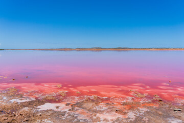 Hutt Lagoon (Pink Lake) in Port Gregory, Western Australia.