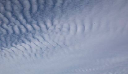 Clouds, Cirrocumulus or stratocumulus on the blue sky