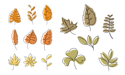 Set of autumn doodle leaves, Hand drawn autumn leaf vector