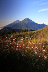 Beautiful view of Mount prau, blue sky and sunrise in the Dieng, Wonosobo, Central Java, Indonesia, August 13, 2023