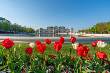 Obraz premium photos of historical architectural landmarks of vienna the capital of austria