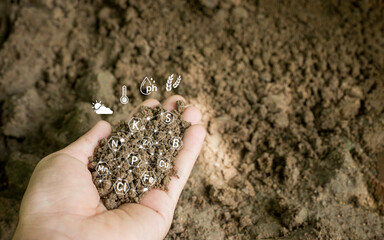 Check the soil quality to control the soil quality. The concept of smart farm agricultural economic development. And there are technology icons about the composition of the soil around it.