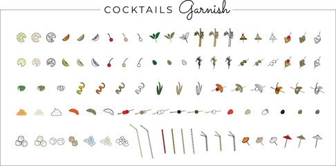 Set of fruit flat illustration. Cocktail garnish. Vector illustration of citrus