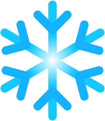 Fototapeta premium Winter Snowflake Icon