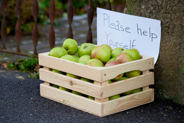 Picked ripe apples in a wooden box offered to pick for free outside a garden