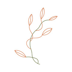 Flower bud illustration