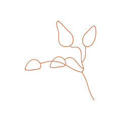 Flower bud illustration
