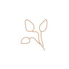 Flower bud illustration