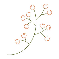 Flower bud illustration