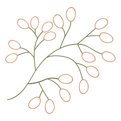 Flower bud illustration