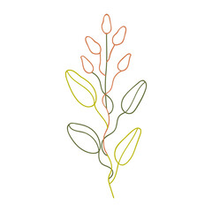 Flower bud illustration