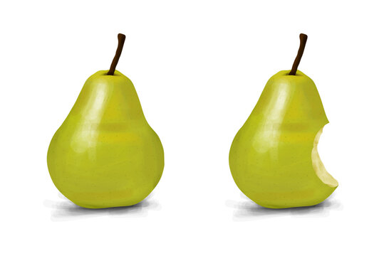 Panting vector pear. Realistic pear.