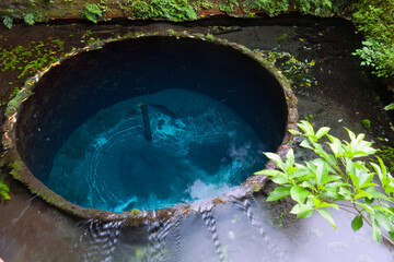 柿田川湧き水群湧き間