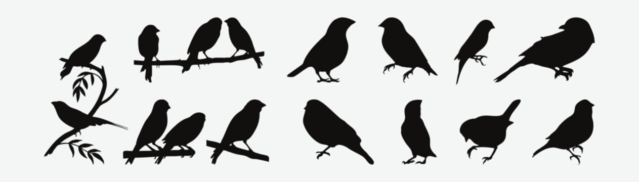 Graceful Avian Forms, A Collection of Silhouette Finches in Various Poses for Creative Projects