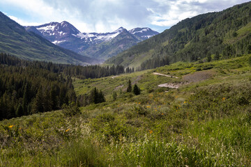 Fototapeta na wymiar Scenic Mountain view in Colorado