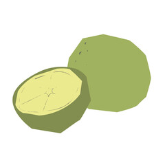 Limes flat illustration