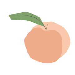 Peach flat illustration