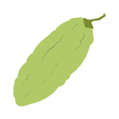 Fototapeta premium Bitter melon flat illustration