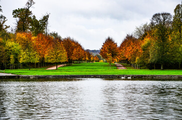 Autumn's elegance graces the backyard garden of Versailles, painting the scene with a tapestry of...
