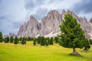 Dolomite landscape in Puez Odle Nature Park - view from alpine plateau with green meadows, Italy