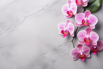 Fototapeta na wymiar Pink orchids on white background with large space for text