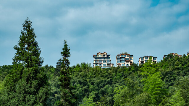 Tiandaohu is located in Hushi Town, Chishui City, Zunyi City, Guizhou Province, China. Chishui is famous for its bamboo forestry