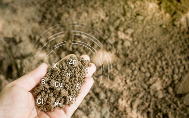 Soil quality monitoring for soil quality control Concept of soil composition in the development of smart farm agricultural economy.